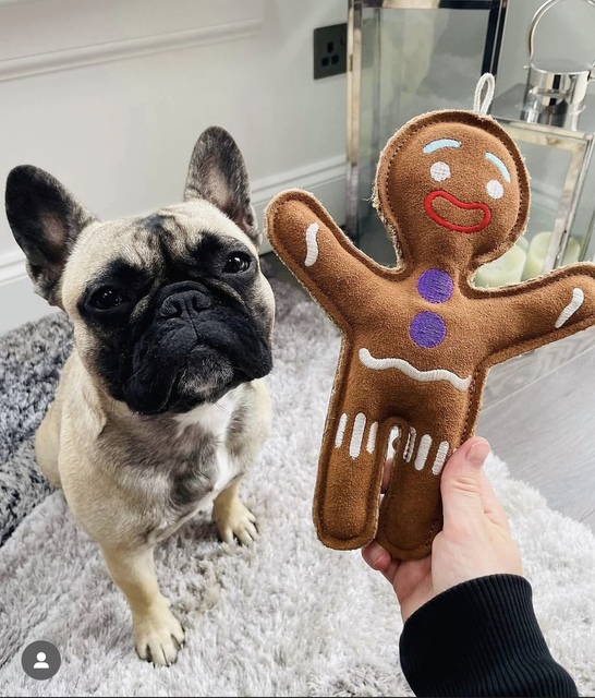 Dog Christmas Gift Sack- Gingerbread & Chocolate
