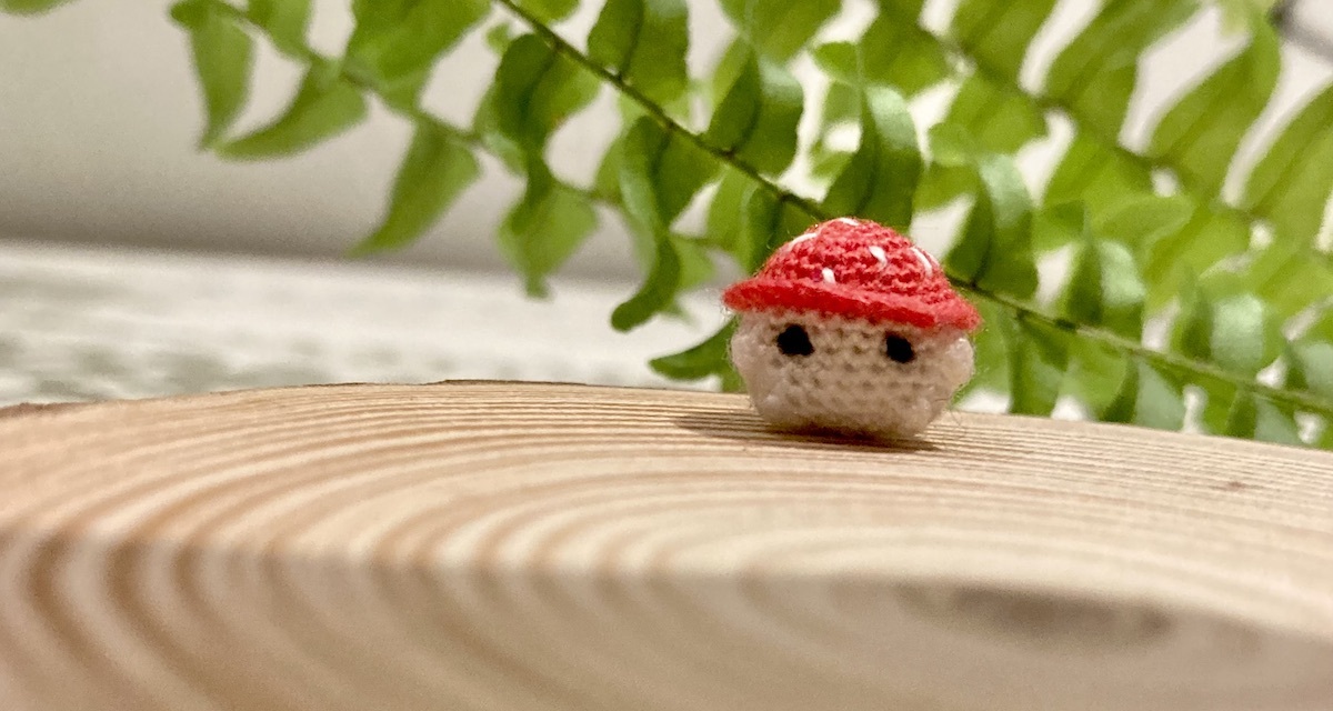 Micro-Crochet Mushroom